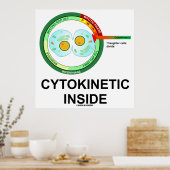 Zytokinetisches Inside (Zytoplasmabteilung Mitose) Poster (Küche)