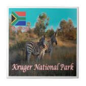 zZA004 KRUGEN Nationalpark, Südafrika, Fliese (Vorderseite)