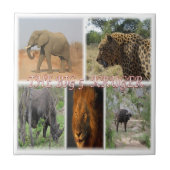 zZA027 SÜDAFRIKA, DER GROSSE 5 IN KRUGER NP Fliese (Vorderseite)