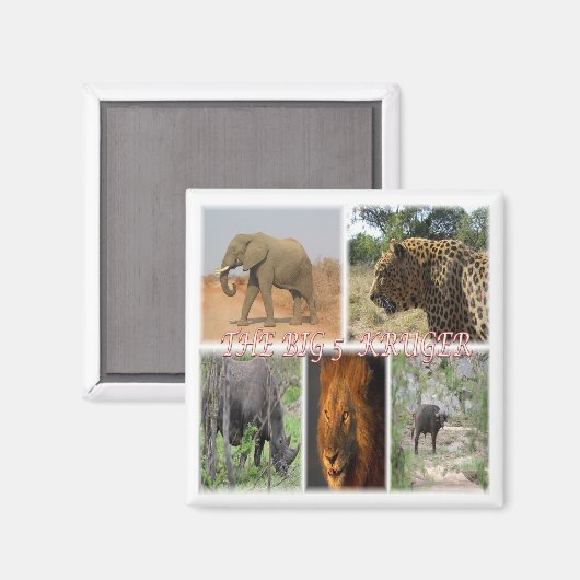 zZA035 SÜDAFRIKA Big 5 in Kruger N.P. Kühlschrank Magnet (Vorderseite/Rückseite)