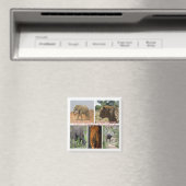 zZA035 SÜDAFRIKA Big 5 in Kruger N.P. Kühlschrank Magnet (In Situ (Geschirrspüler))